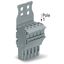 1-conductor female connector Push-in CAGE CLAMP® 4 mm² gray thumbnail 2