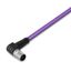 PROFIBUS cable M12B plug angled 5-pole violet thumbnail 1