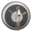Key-operated actuator, maintained, 3 positions, 0, II, Bezel: titanium thumbnail 10