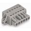 1-conductor female connector CAGE CLAMP® 2.5 mm² gray thumbnail 2