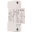 Direct starter, 3-pole, 1.5 - 5.5 kW/400 V/AC3, 100 kA, electronic protection thumbnail 4