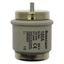 Fuse-link, low voltage, 160 A, AC 500 V, D5, 56 x 46 mm, gR, DIN, IEC, fast-acting thumbnail 4