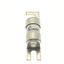 Fuse-link, LV, 2 A, AC 240 V, BS88, 15 x 49 mm, gL/gG, BS thumbnail 10