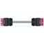 pre-assembled interconnecting cable Cca Socket/plug pink thumbnail 5