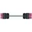 pre-assembled interconnecting cable Eca Socket/plug pink thumbnail 5