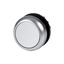 Pushbutton, RMQ-Titan, Flat, momentary, gray, Blank, Bezel: titanium thumbnail 2