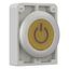 Illuminated pushbutton actuator, RMQ-Titan, Flat, momentary, yellow, inscribed, Metal bezel thumbnail 7