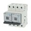 Fuse switch-disconnector, LPC, 25 A, service distribution board mounting, 2 pole, DII thumbnail 40