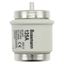 Fuse-link, low voltage, 125 A, AC 500 V, D5, 56 x 46 mm, gL/gG, DIN, IEC, time-delay thumbnail 7