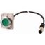 Illuminated pushbutton actuator, Flat, momentary, 1 N/O, Cable (black) with M12A plug, 4 pole, 1 m, LED green, green, Blank, 24 V AC/DC, Metal bezel thumbnail 1